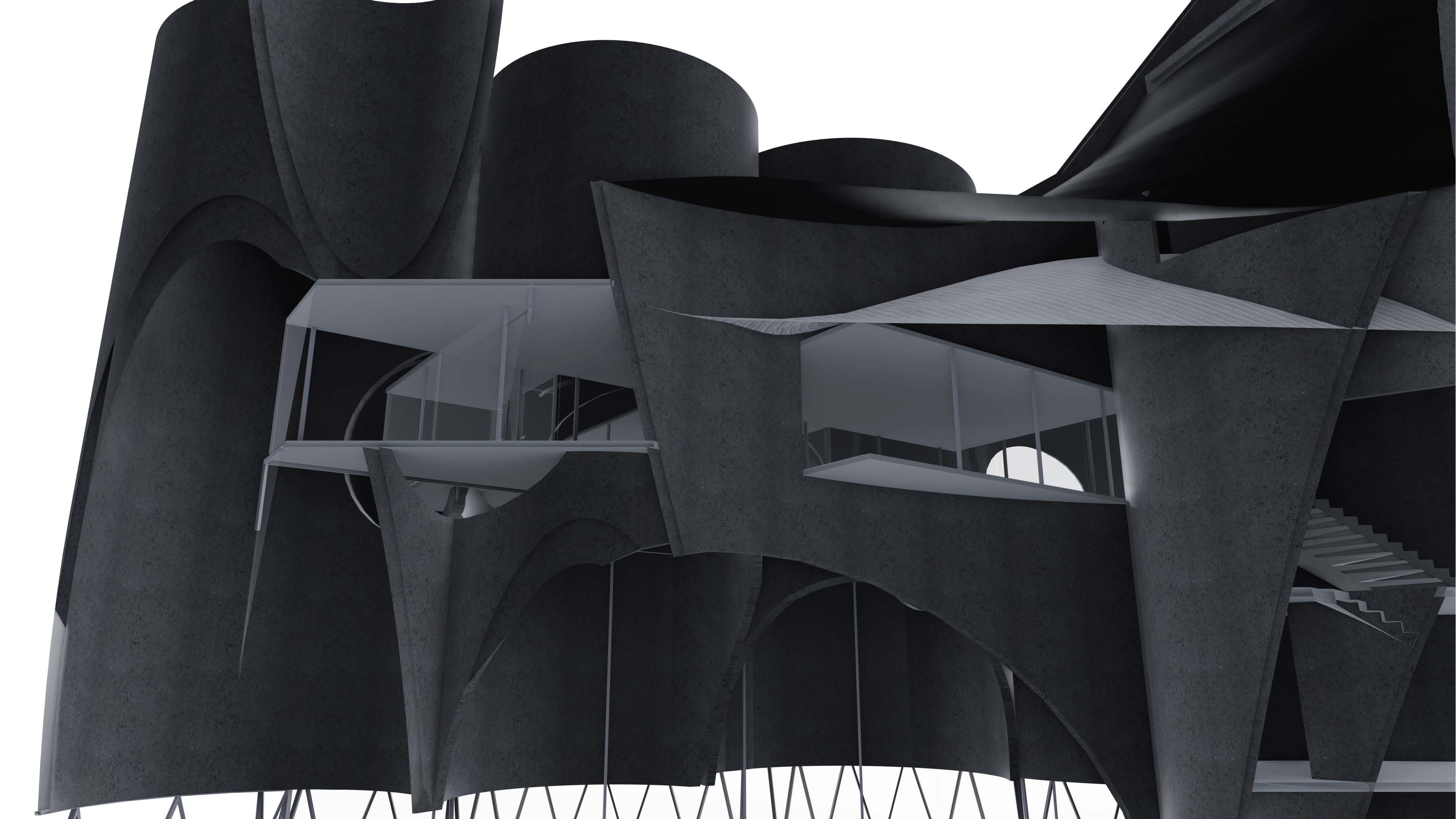 BAPTISTERI DUPLICATA - Image 3