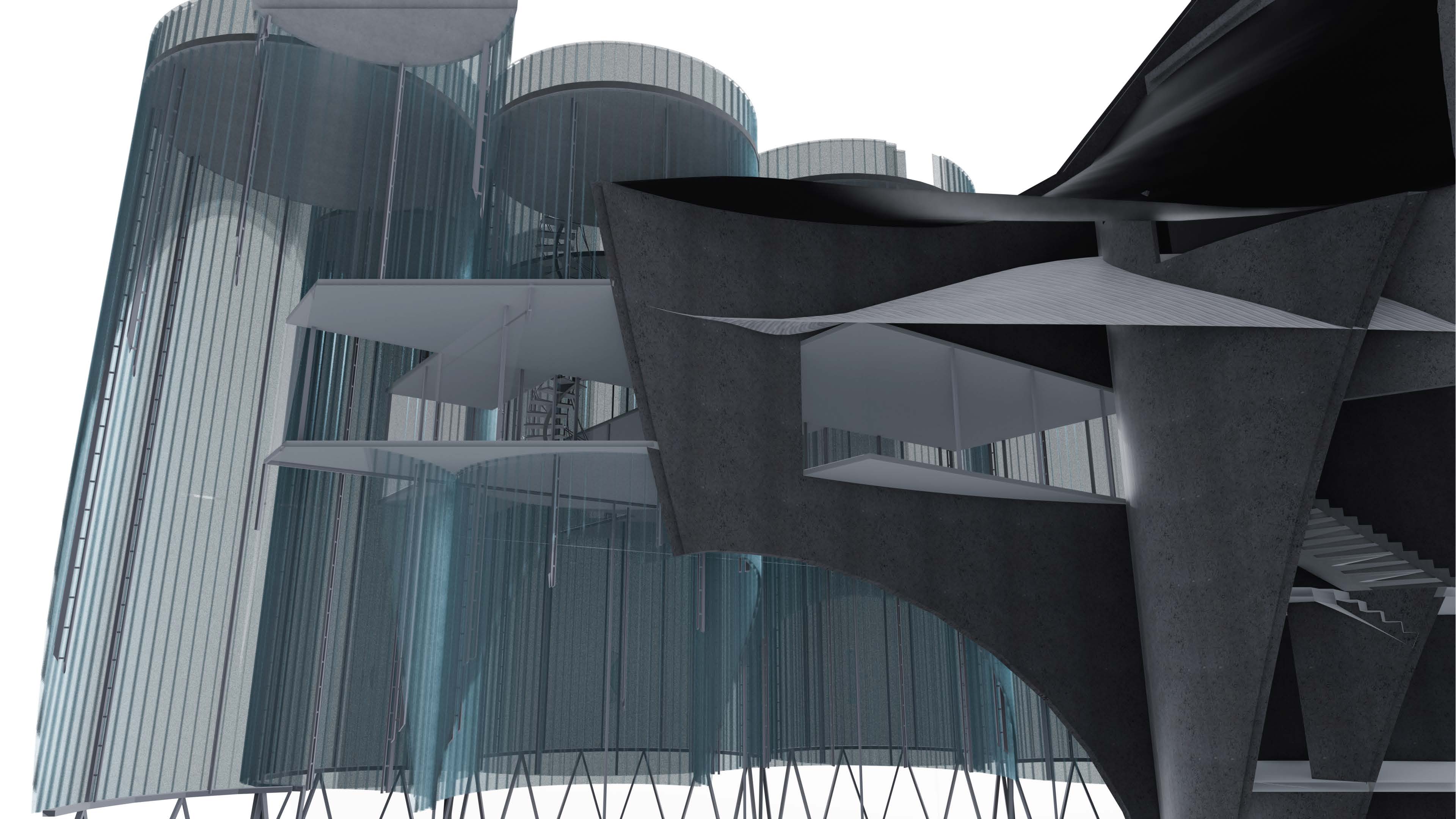 BAPTISTERI DUPLICATA - Image 8